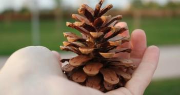 30 attività da fare con i bambini in autunno