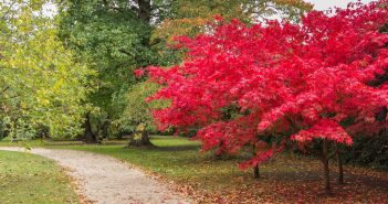 Sette mesi qui autunno cambridge