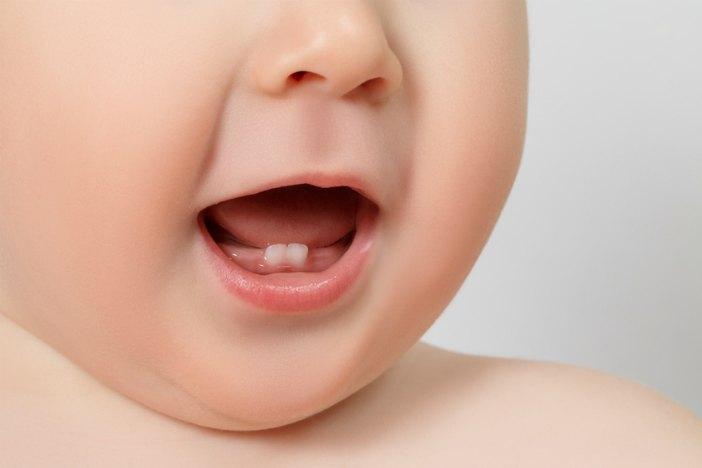 Risultati immagini per dentini da latte
