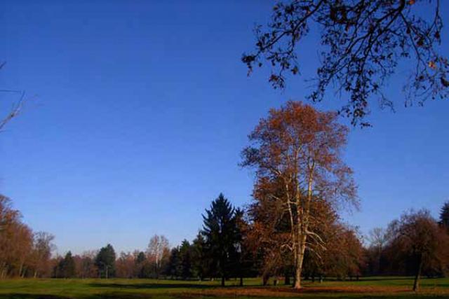 Parco di Monza