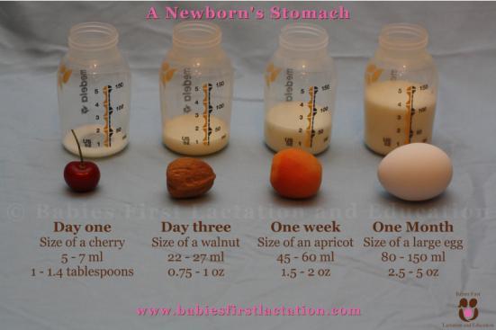 Quanto Latte Deve Mangiare Il Neonato Mammeacrobate