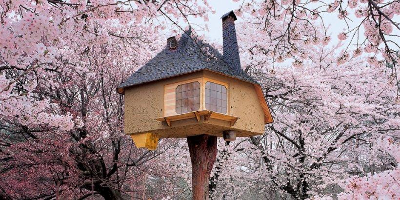 teaser_va_treehouses_top_1210171459_id_536600