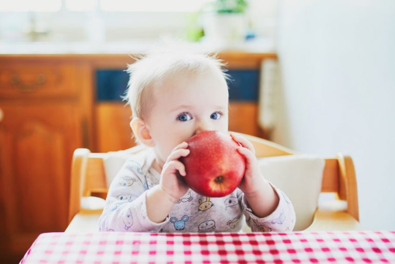svezzamento ricette bambini