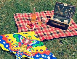picnic d'estate 3