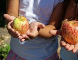 frutta nelle scuole 01