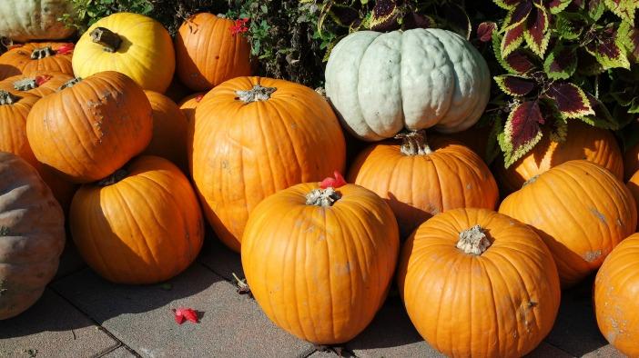 halloween con i bambini