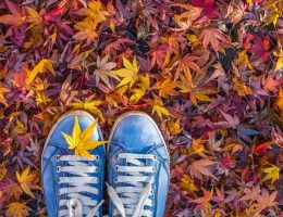 cosa fare ottobre a milano