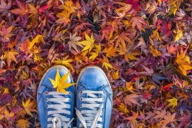 cosa fare ottobre a milano