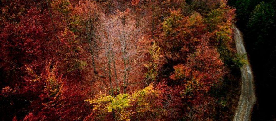 trekking autunno con bambini
