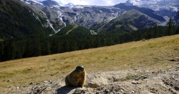 Saas-Fee: consigli per una vacanza in famiglia nella Perla delle Alpi