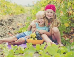 vendemmia con bambini