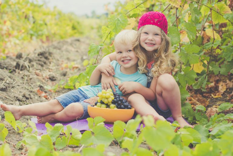 La vendemmia con i bambini: gli appuntamenti da non perdere! vendemmia con bambini