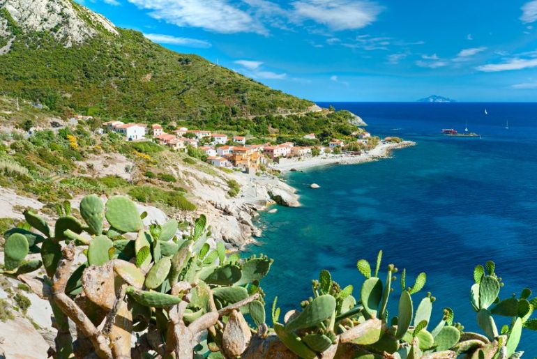 isola elba spiaggia fetovaia