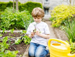 orto con bambini consigli utili