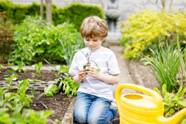 orto con bambini consigli utili