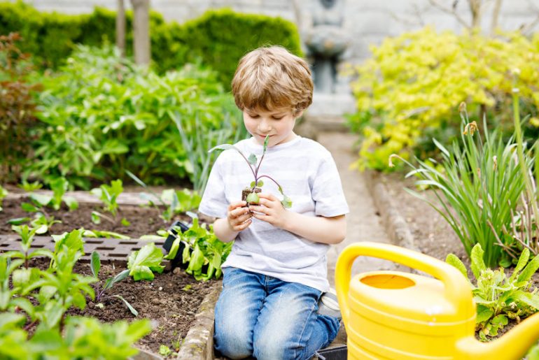 orto con bambini consigli utili